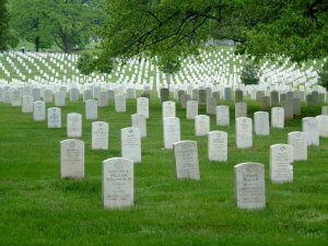 Rows of white headstoness honoring the fallen at Arlington